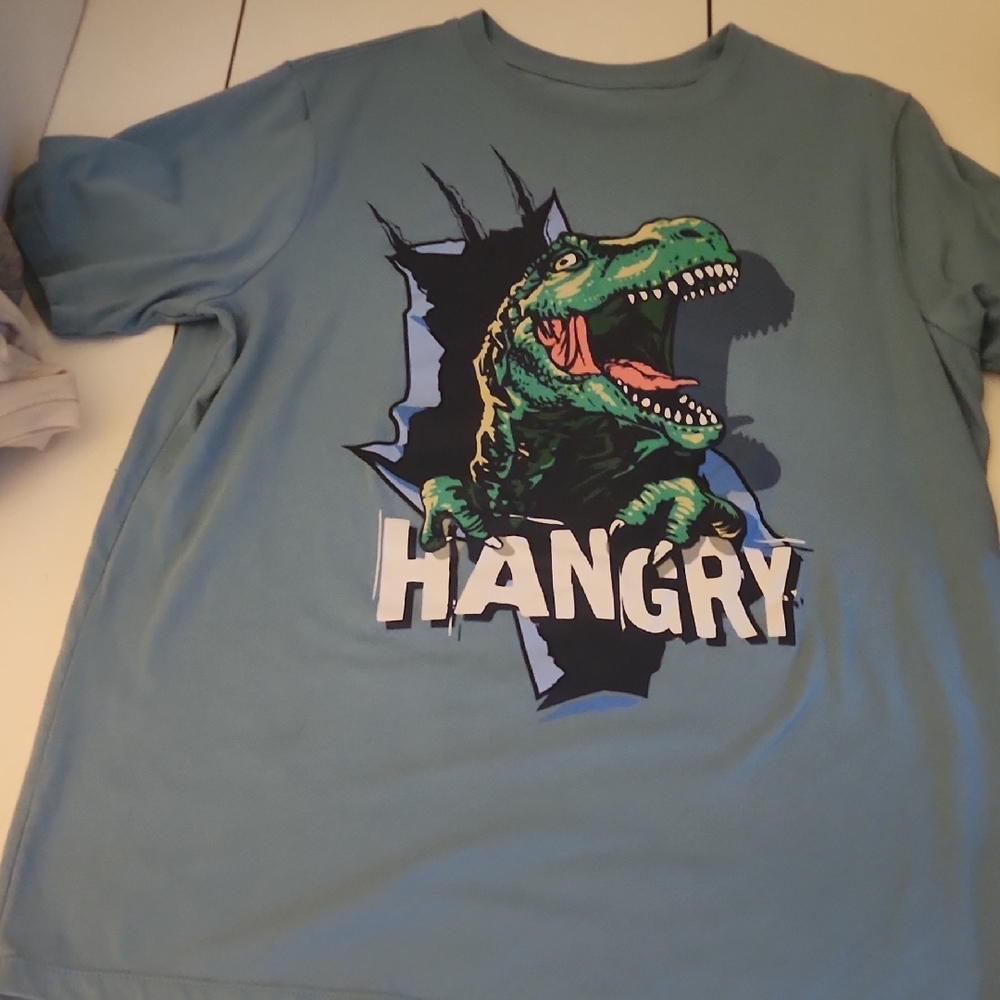 Wonder Nation Hangry Dinosaur Tee - Teal